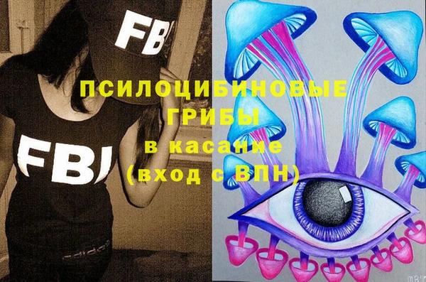 не бодяженный Гусев