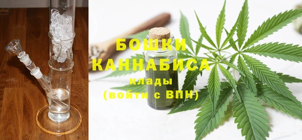 2c-b Горнозаводск