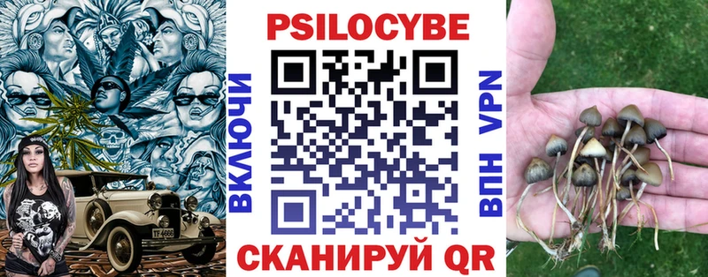 Псилоцибиновые грибы прущие грибы Купить закладки Новоалтайск